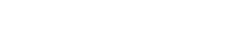 Toy